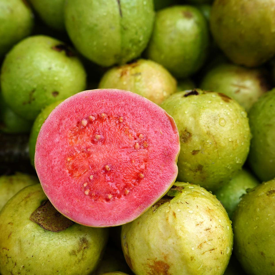 Guava & Ambunu Strengthening Shampoo