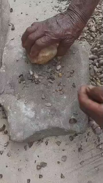 Raw Batana Oil (Unrefined (Honduran & West African)